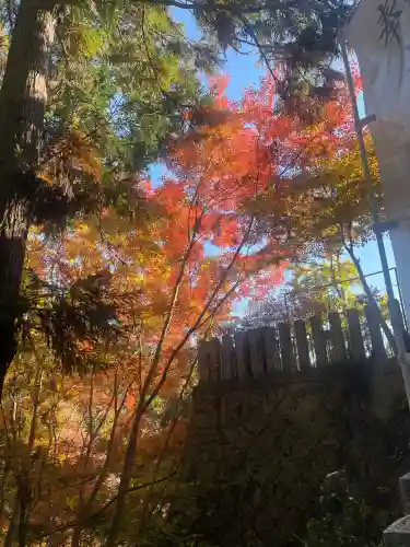松尾寺(奈良県)