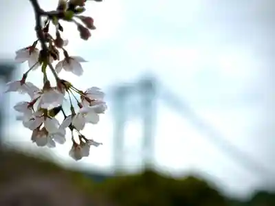 和布刈神社の自然
