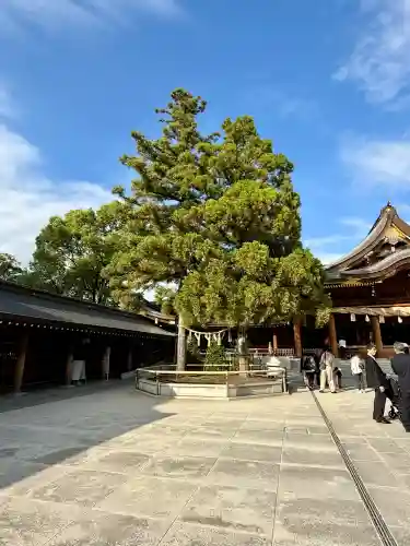 寒川神社(神奈川県)