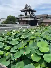 雲龍山 本證寺(愛知県)