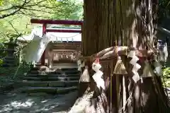 磐椅神社の自然