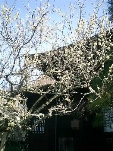 瑞泉寺のその他建物