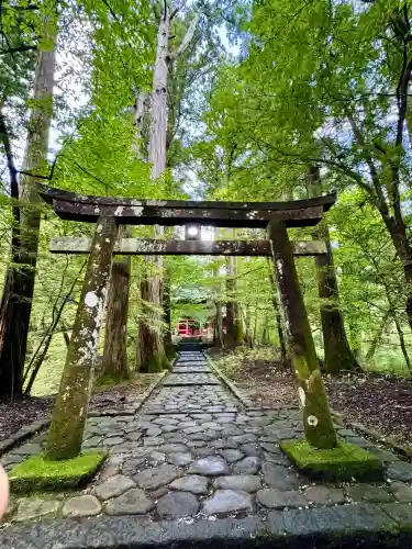 瀧尾神社（日光二荒山神社別宮）(栃木県)