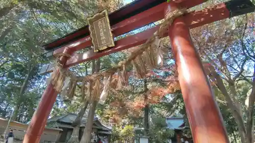 氷川女體神社(埼玉県)