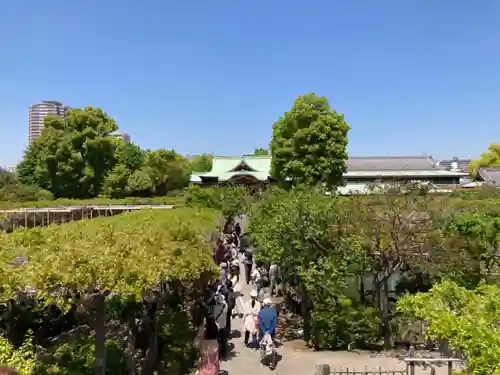 亀戸天神社の庭園