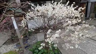 持明院(大阪府)