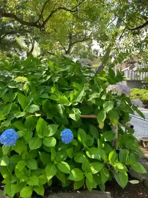 片山神社(大阪府)