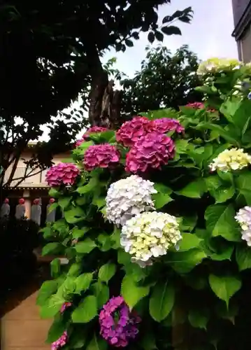 福王山  慈眼寺の自然