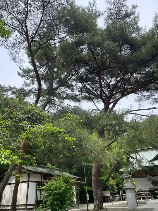 村松 大神宮(茨城県)