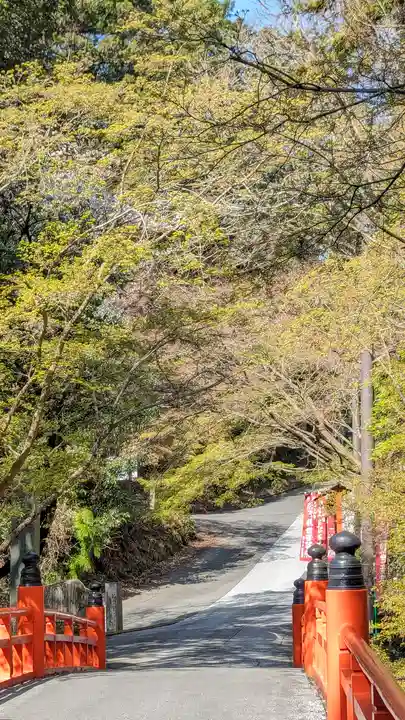 今熊野観音寺(京都府)