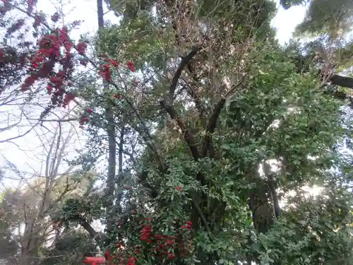 日枝神社(東京都)