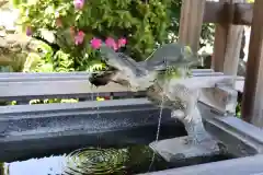 龍華寺の手水