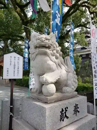 加藤神社の狛犬