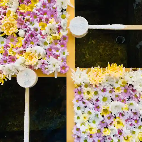 土津神社｜こどもと出世の神さまの手水