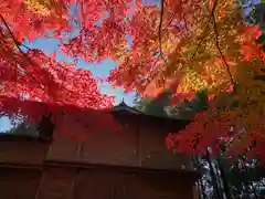 滑川神社 - 仕事と子どもの守り神の自然