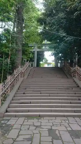 渋谷氷川神社の鳥居