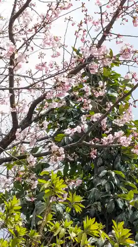 霊山観音(京都府)
