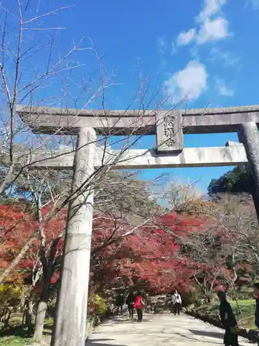 宝満宮竈門神社の鳥居