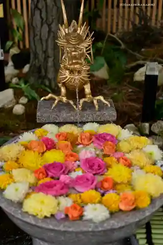 白山神社の手水舎