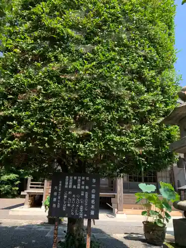 長泉寺(栃木県)