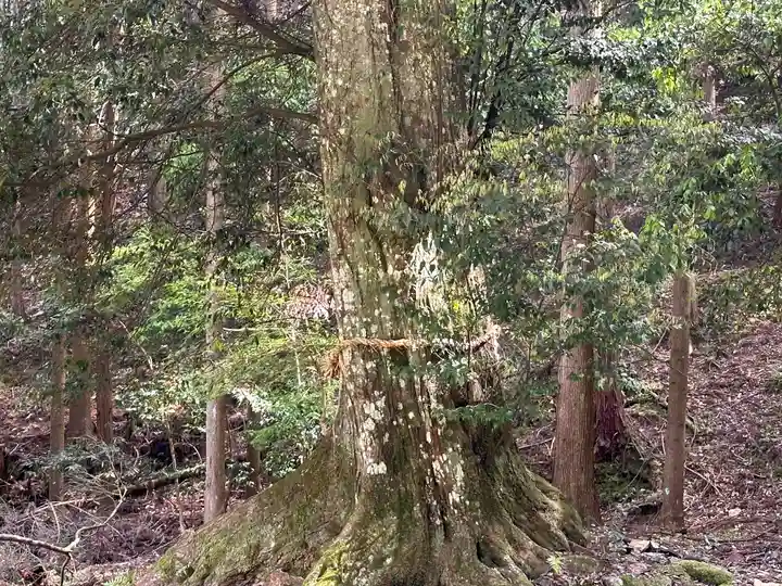 春日神社(京都府)
