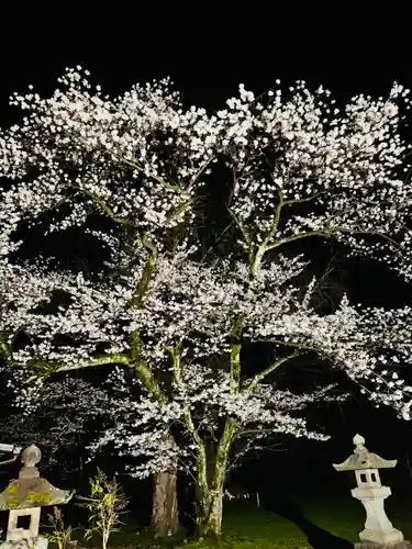 守りの神　藤基神社の庭園