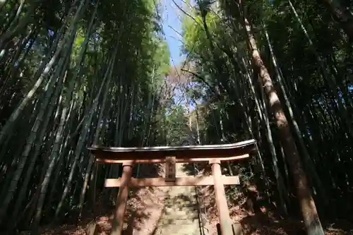 鹿嶋神社の鳥居