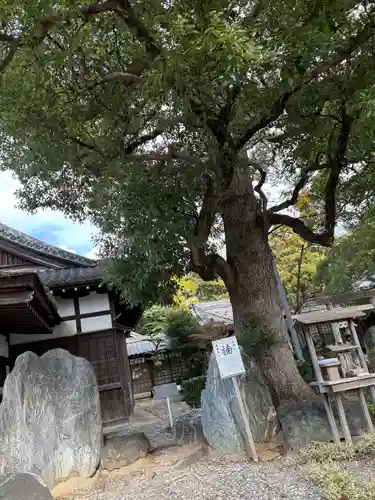 武雄神社(愛知県)