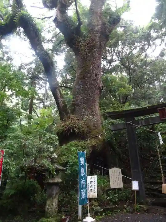 東霧島神社の自然