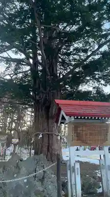 豊栄神社(北海道)