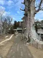 若宮八幡宮(茨城県)