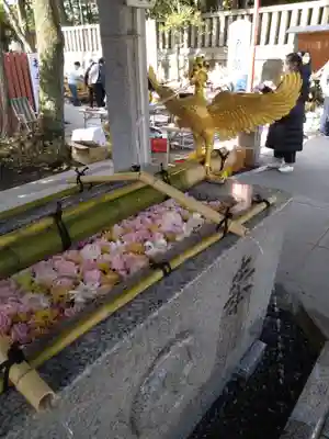 富岡八幡宮の手水舎