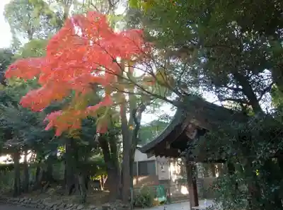 渋谷氷川神社(東京都)