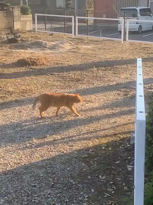 密蔵院(愛知県)