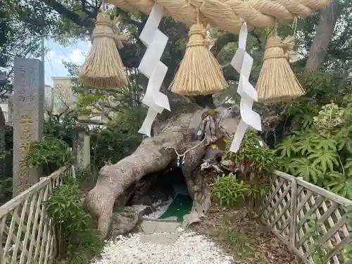 牛嶋天満宮(佐賀県)