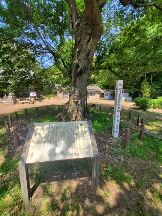 長柄神社(群馬県)