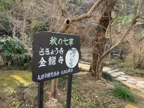 金龍寺の建物その他