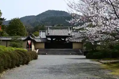 隨心院(随心院)(京都府)
