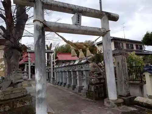 白幡神社の鳥居