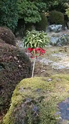 三室戸寺(京都府)