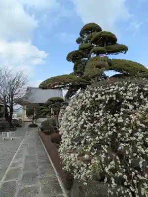 松應寺(東京都)