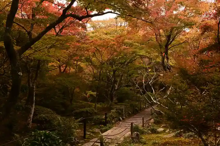 宝筐院(京都府)