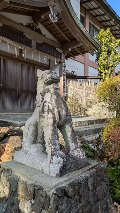 宇治神社の狛犬