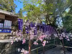 下野 星宮神社の建物その他