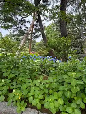 白山神社(新潟県)