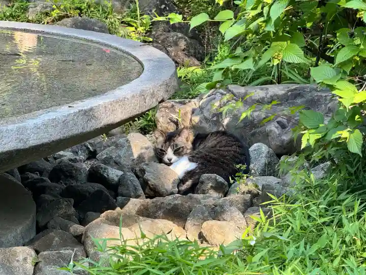 正覚院(東京都)