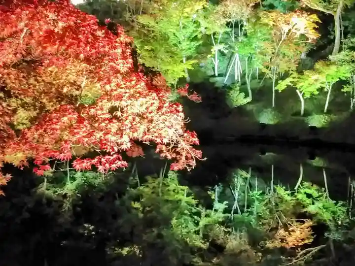 高台寺(高台寿聖禅寺・高臺寺)(京都府)