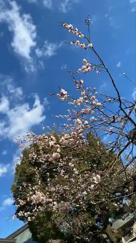 湯島天満宮(東京都)