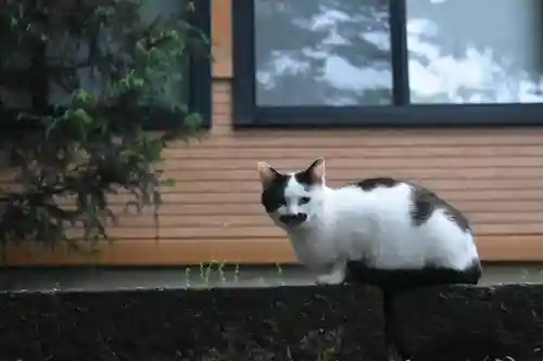 尻岸内八幡神社(北海道)
