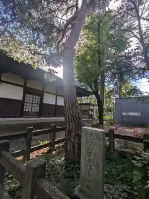 淨眞寺(東京都)